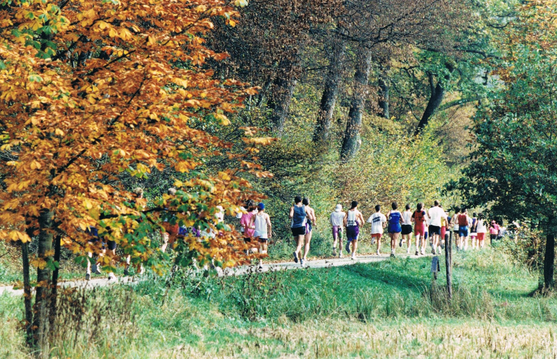 Zweiter Lauf 1975 durch das Große Goldersbachtal